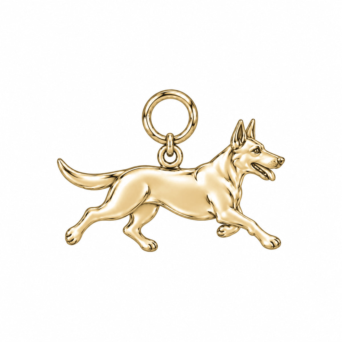 Belgian Malinois — Little Joy Charm and Polyester Cord Bracelet Set — Gold