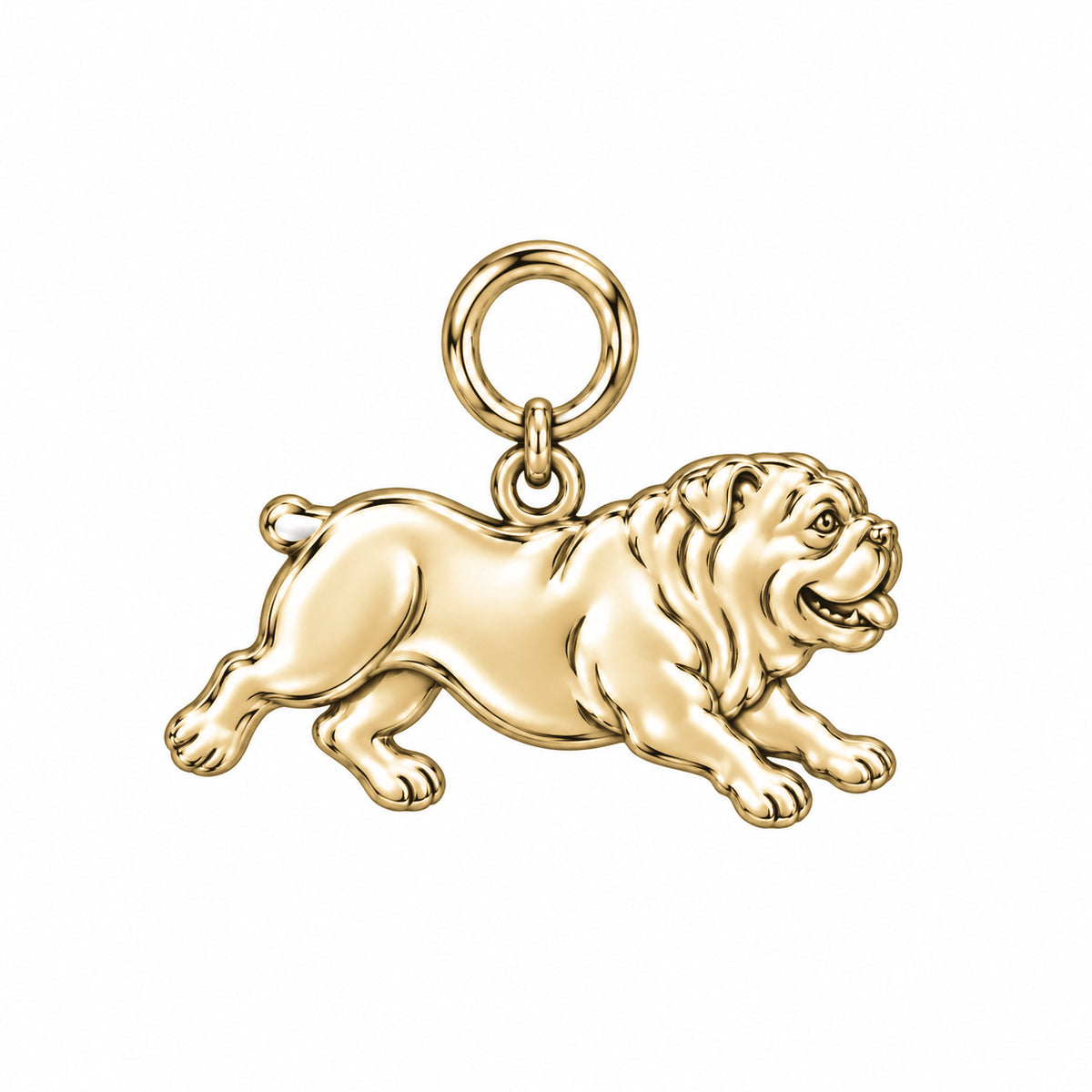 English Bulldog — Little Joy Charm and Polyester Cord Bracelet Set — Gold