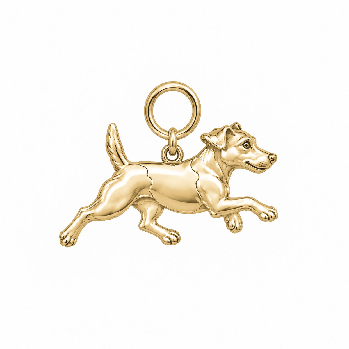 Jack Russell Terrier — Little Joy Charm and Polyester Cord Bracelet Set — Gold