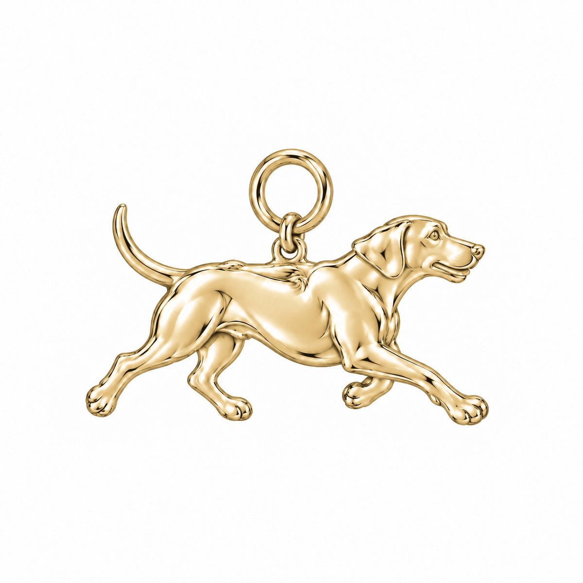 Rhodesian Ridgeback — Little Joy Charm and Polyester Cord Bracelet Set — Gold