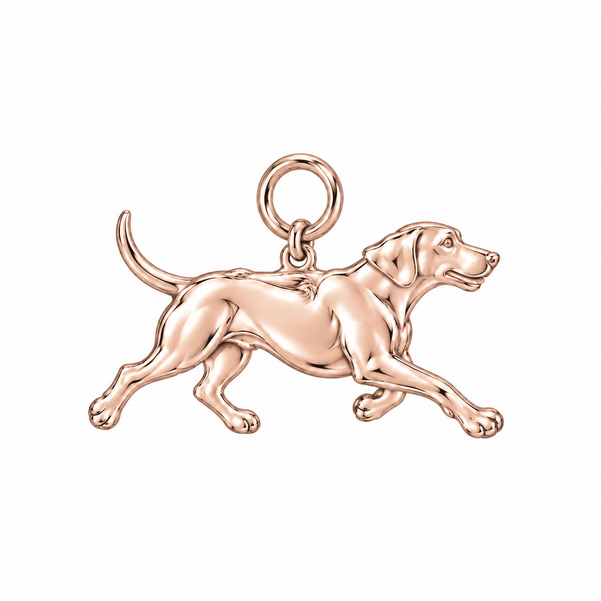 Rhodesian Ridgeback — Little Joy Charm and Polyester Cord Bracelet Set — Rose Gold