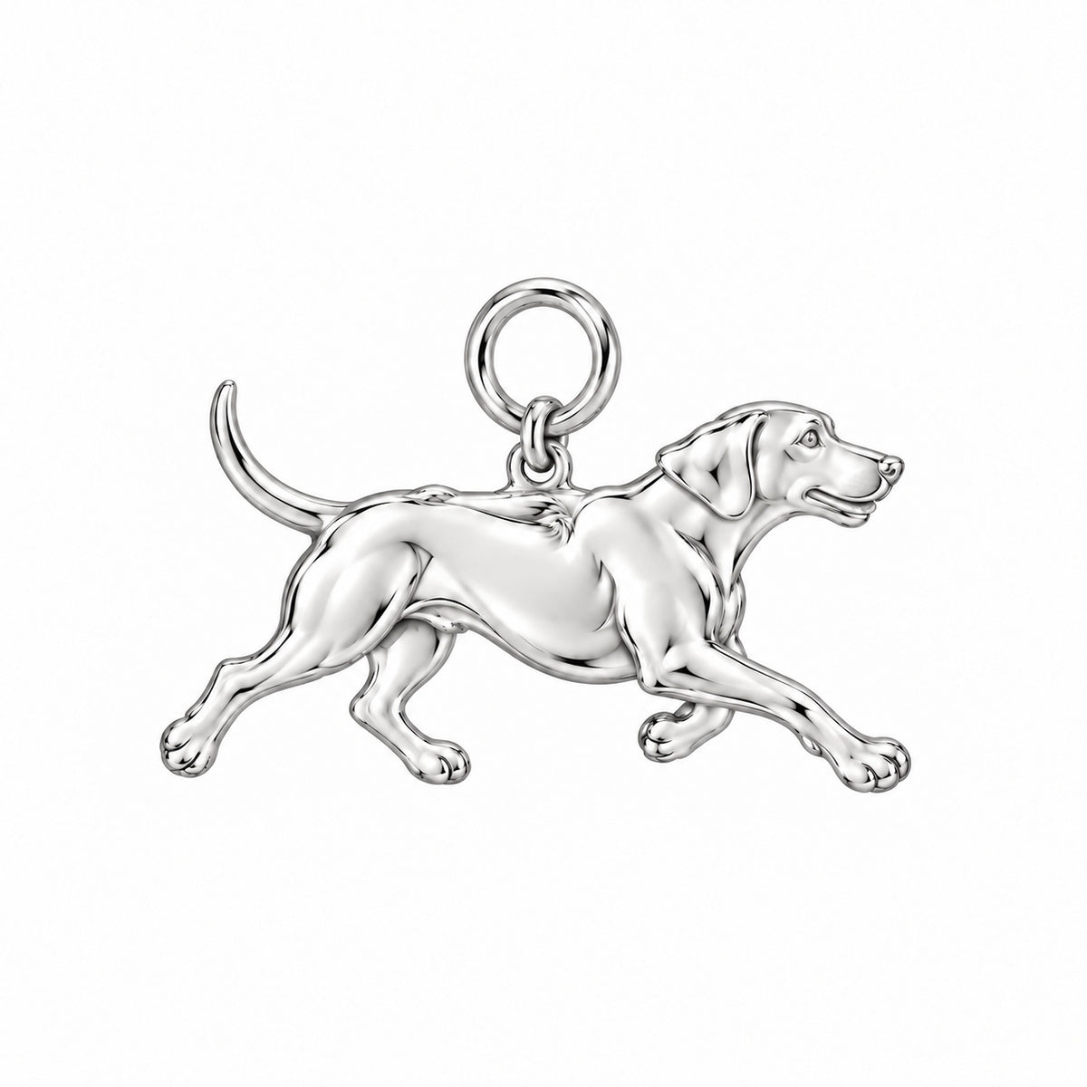 Rhodesian Ridgeback — Little Joy Charm and Polyester Cord Bracelet Set — Silver