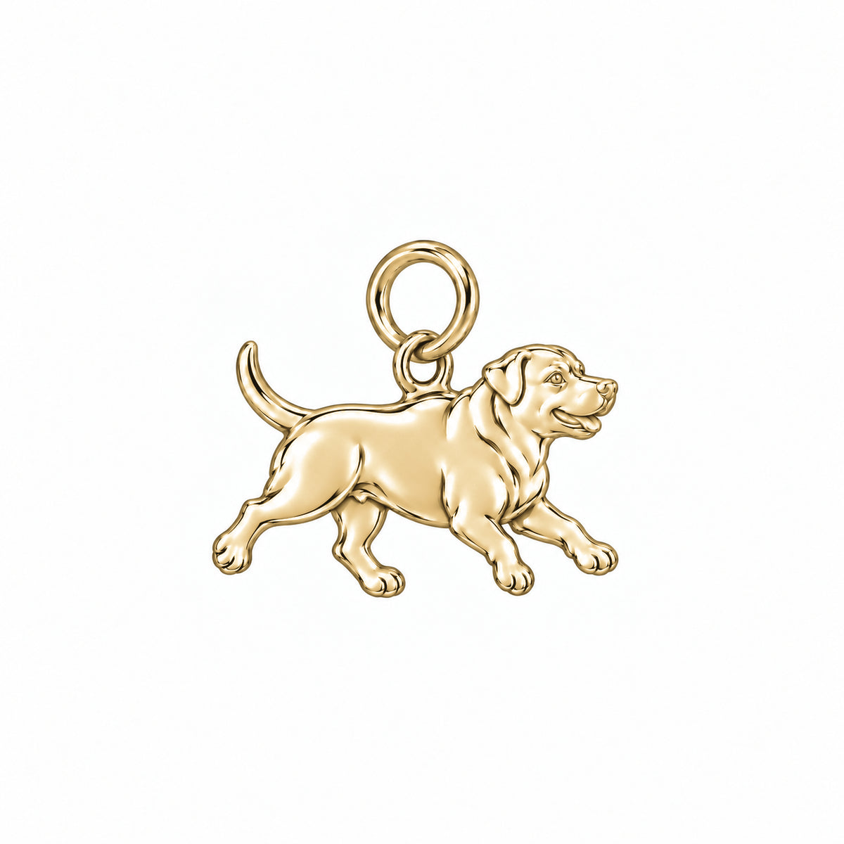 Rottweiler — Little Joy Charm and Polyester Cord Bracelet Set — Gold