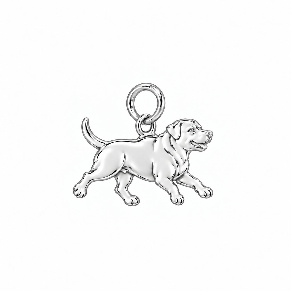 Rottweiler — Little Joy Charm and Polyester Cord Bracelet Set — Silver