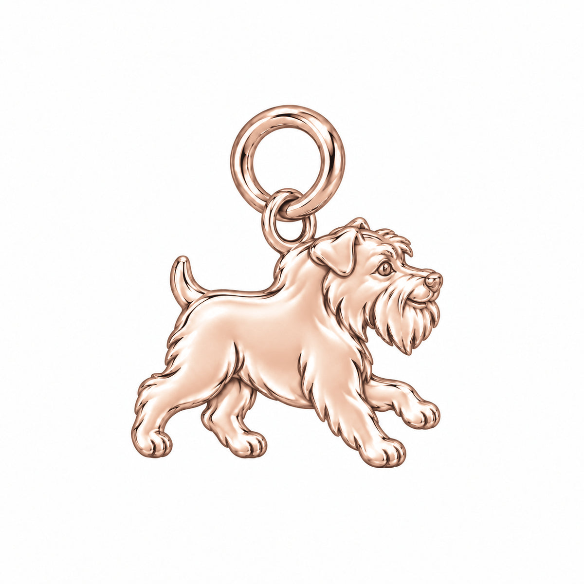 Schnauzer - Miniature, natural ears — Little Joy Charm and Polyester Cord Bracelet Set — Rose Gold