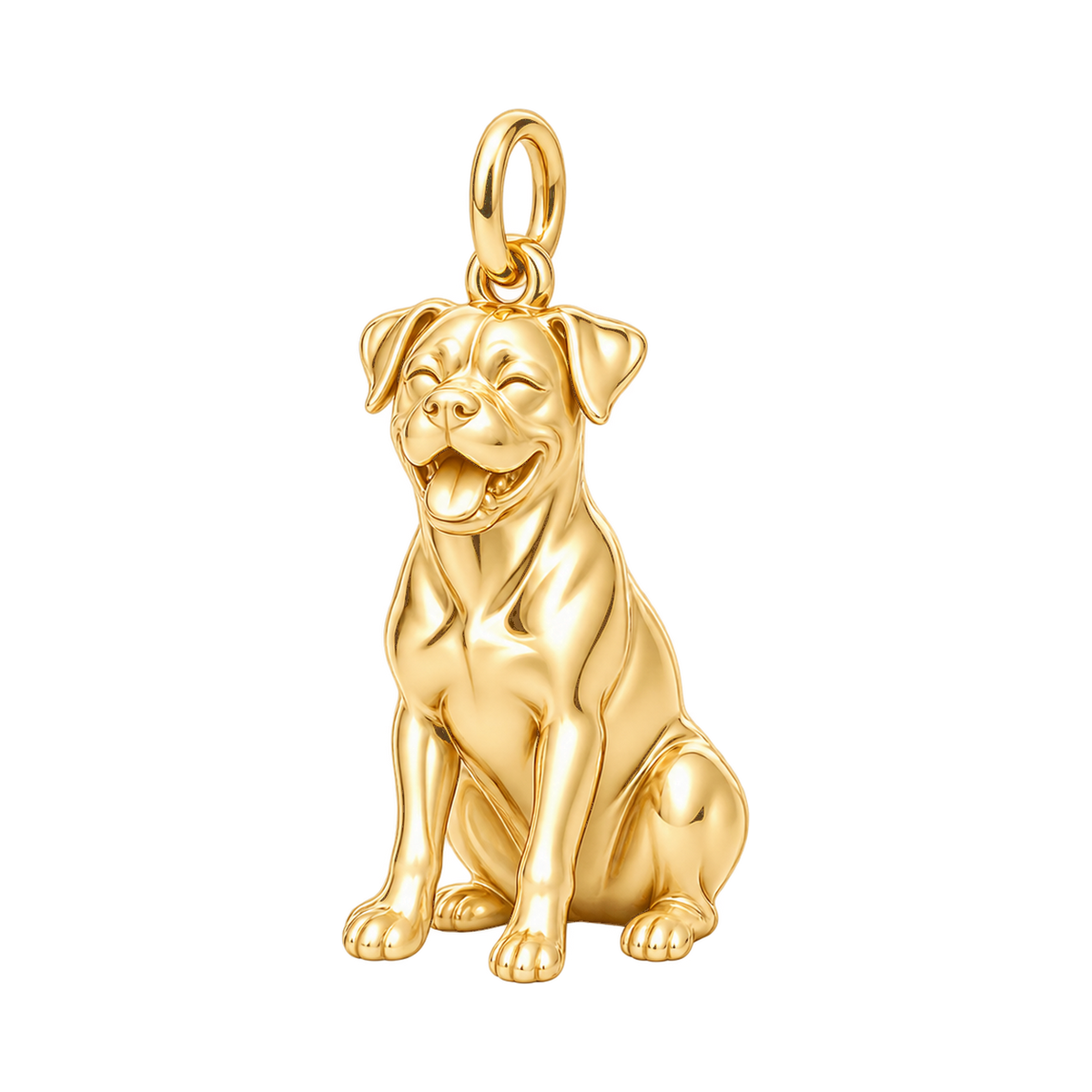 Boxer — Happy Pup Charm and Polyester Cord Bracelet Set — Gold