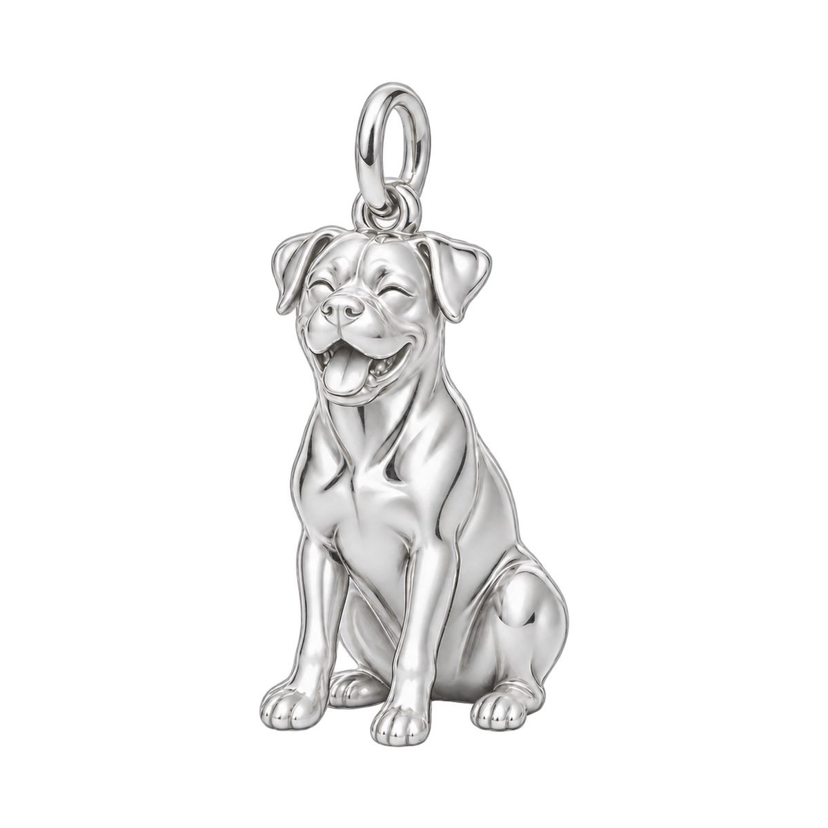 Boxer — Happy Pup Charm and Polyester Cord Bracelet Set — Silver