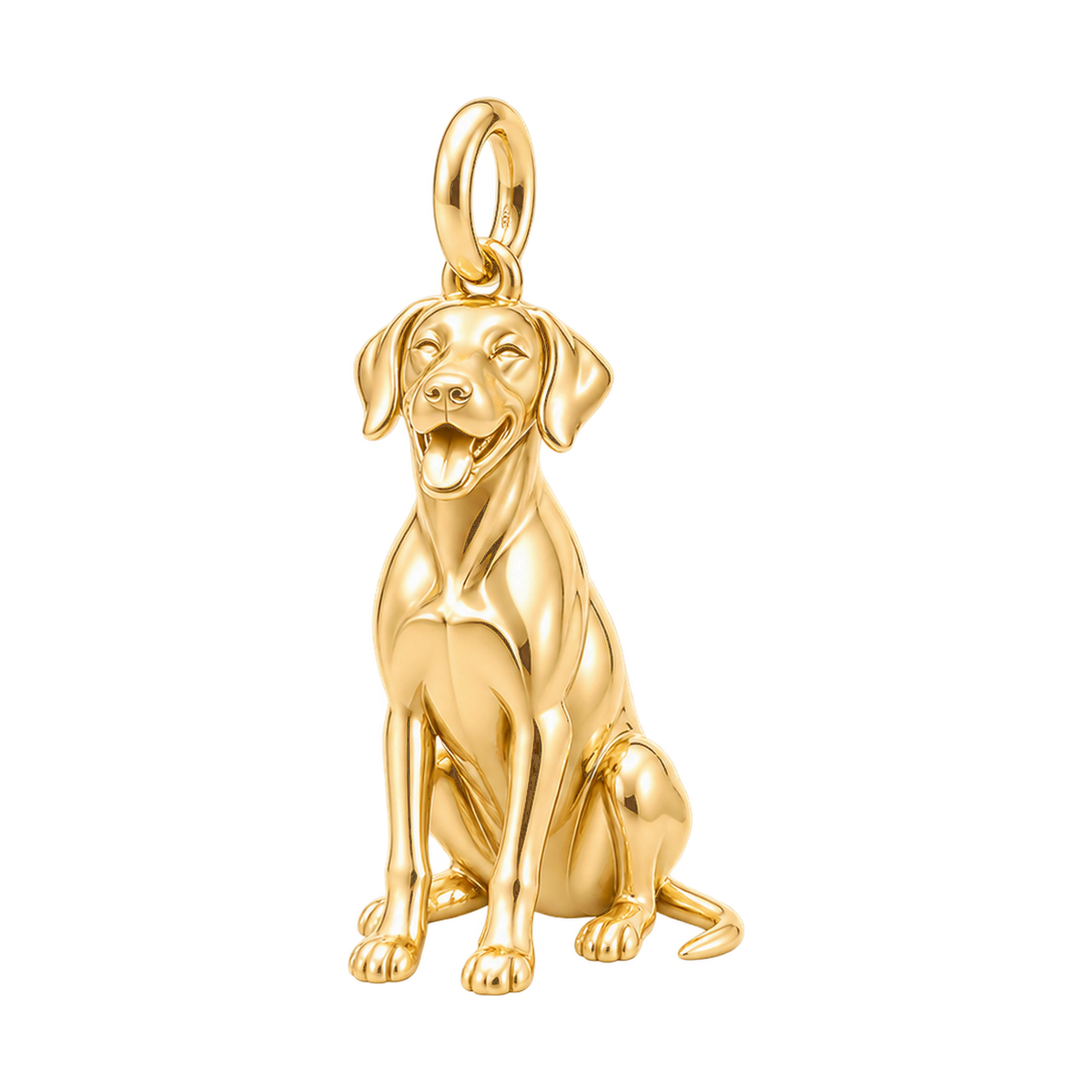 Rhodesian Ridgeback — Happy Pup Charm and Polyester Cord Bracelet Set — Gold