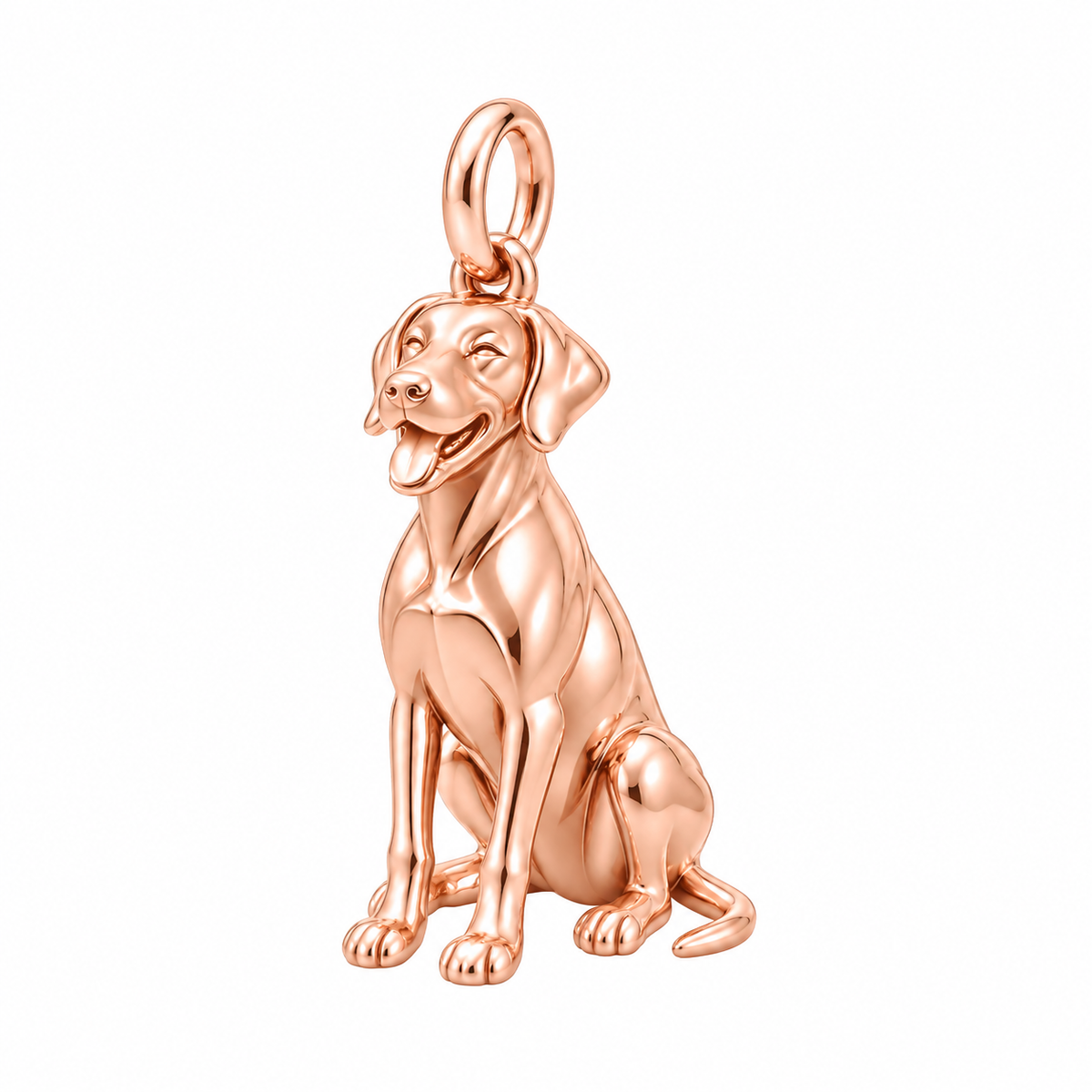 Rhodesian Ridgeback — Happy Pup Charm and Polyester Cord Bracelet Set — Rose Gold