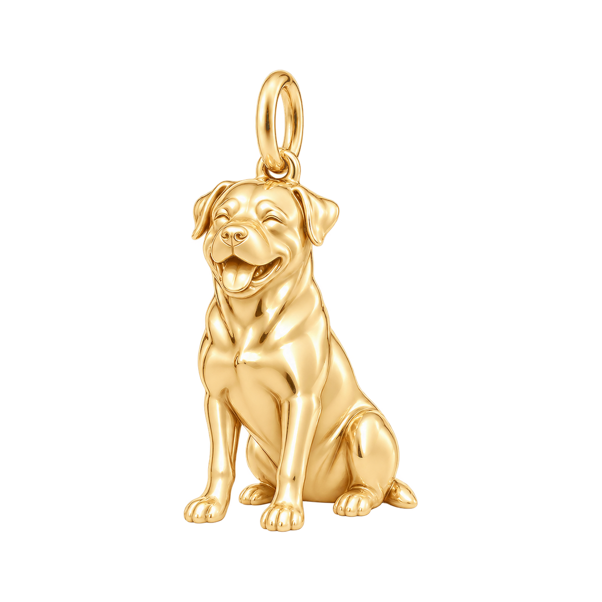 Rottweiler — Happy Pup Charm and Polyester Cord Bracelet Set — Gold