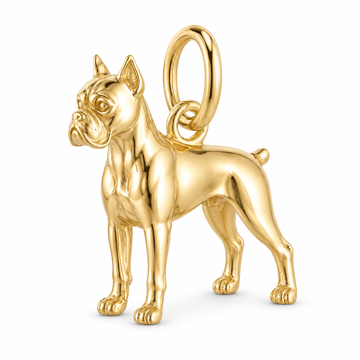 Boxer — Standing Dog Charm and Polyester Cord Bracelet Set — Gold