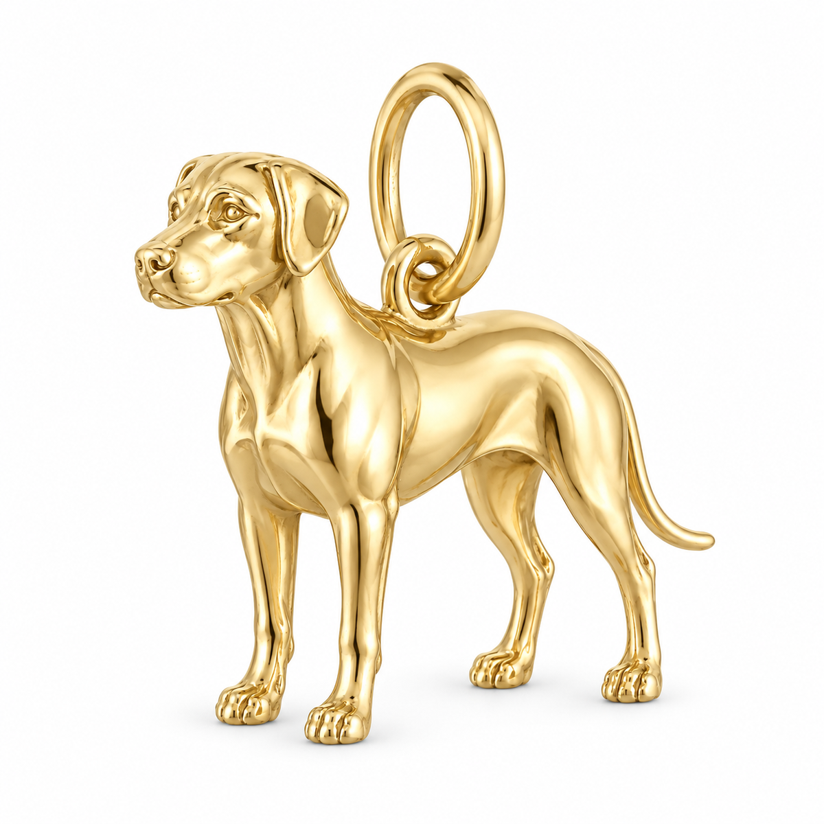 Rhodesian Ridgeback — Standing Dog Charm and Polyester Cord Bracelet Set — Gold