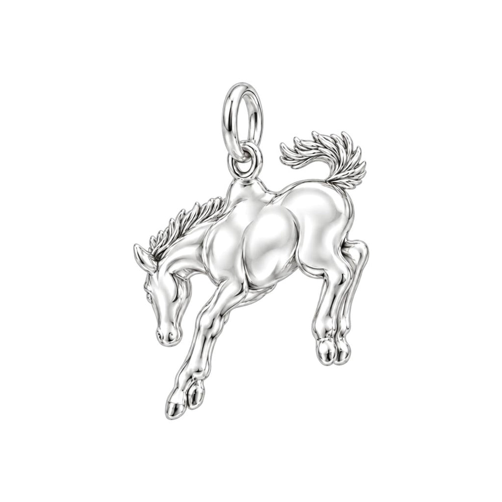 Starry Celestial Horse Charm Necklace Set – back of the charm, engraving area