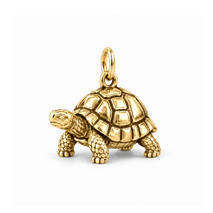 Steady Tortoise Charm — Gold | charm-topics-remaining-444-2026-09-14 | topic-368