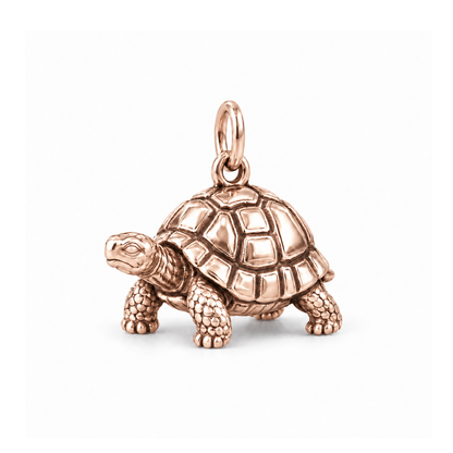 Steady Tortoise Charm — Rose Gold | charm-topics-remaining-444-2026-09-14 | topic-368