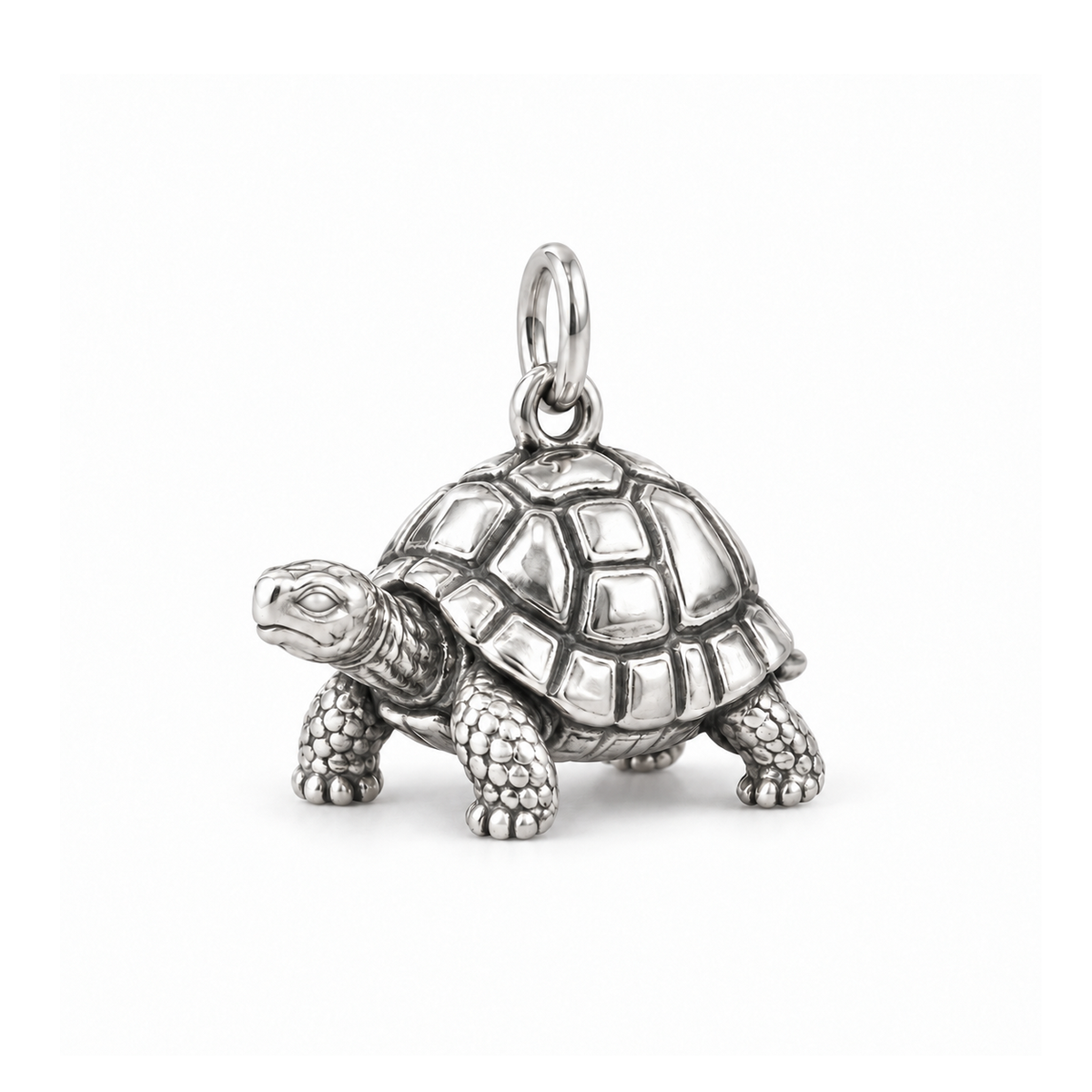 Steady Tortoise Charm — Silver | charm-topics-remaining-444-2026-09-14 | topic-368