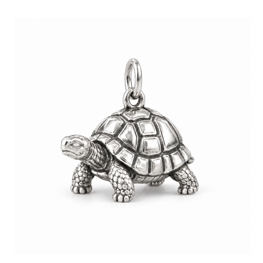 Steady Tortoise Charm — Silver | charm-topics-remaining-444-2026-09-14 | topic-368
