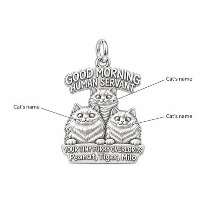 Tiny Furry Overlords Charm Bracelet – Personalized Cat Mom Gift – personalization guide