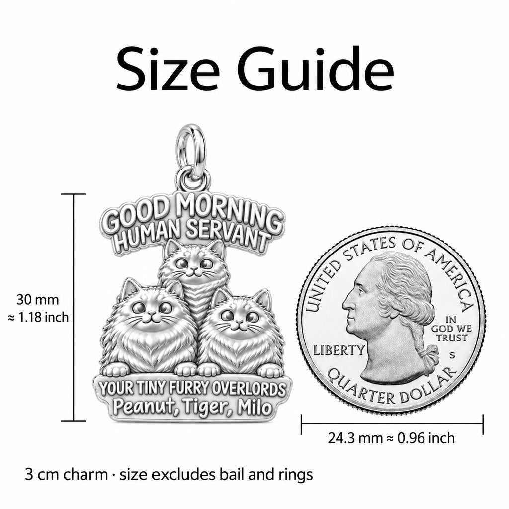 Tiny Furry Overlords Charm Bracelet – Personalized Cat Mom Gift – size guide, 3 cm charm next to a quarter