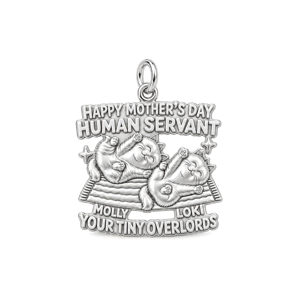 Tiny Overlords Charm Bracelet – Personalized Cat Mom Gift – silver plated 3 cm charm, front view