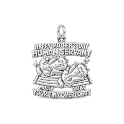 Tiny Overlords Charm Bracelet – Personalized Cat Mom Gift – silver plated 3 cm charm, front view