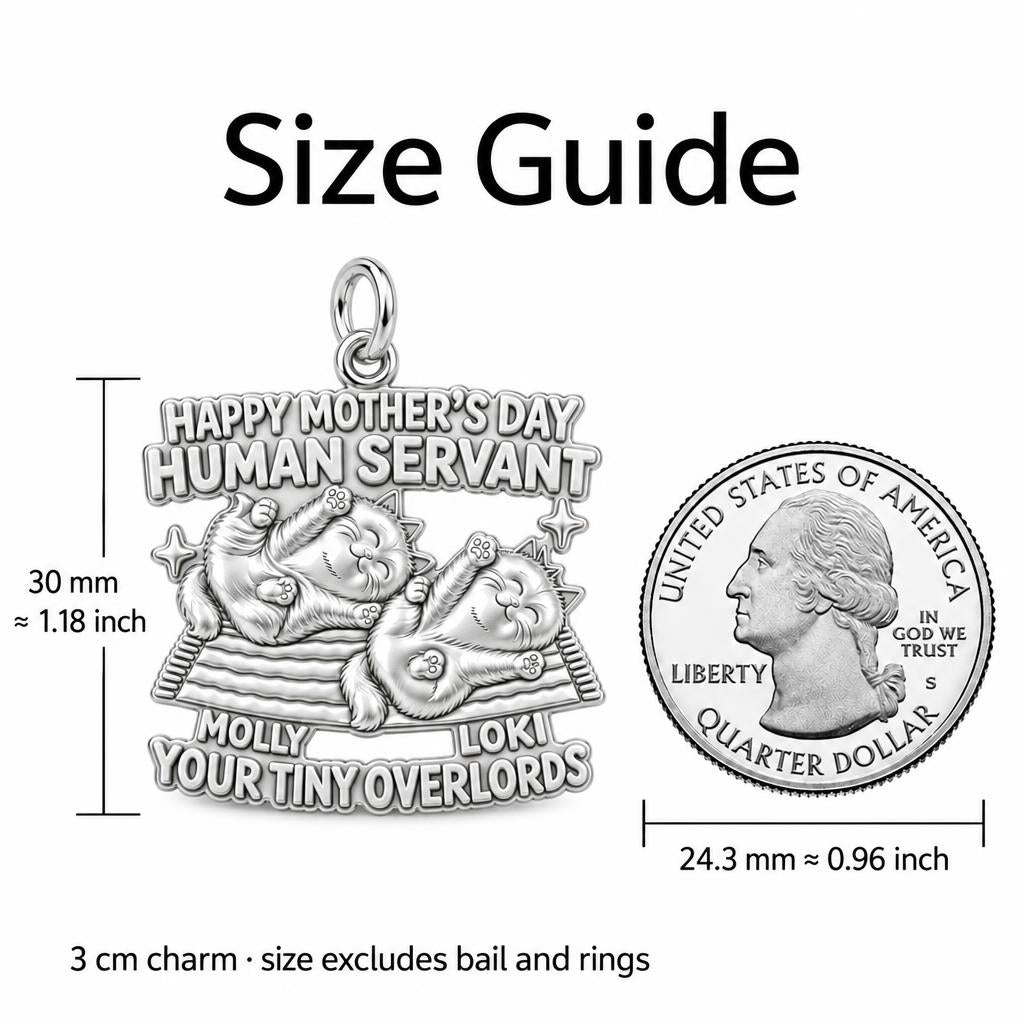 Tiny Overlords Charm Bracelet – Personalized Cat Mom Gift – size guide, 3 cm charm next to a quarter