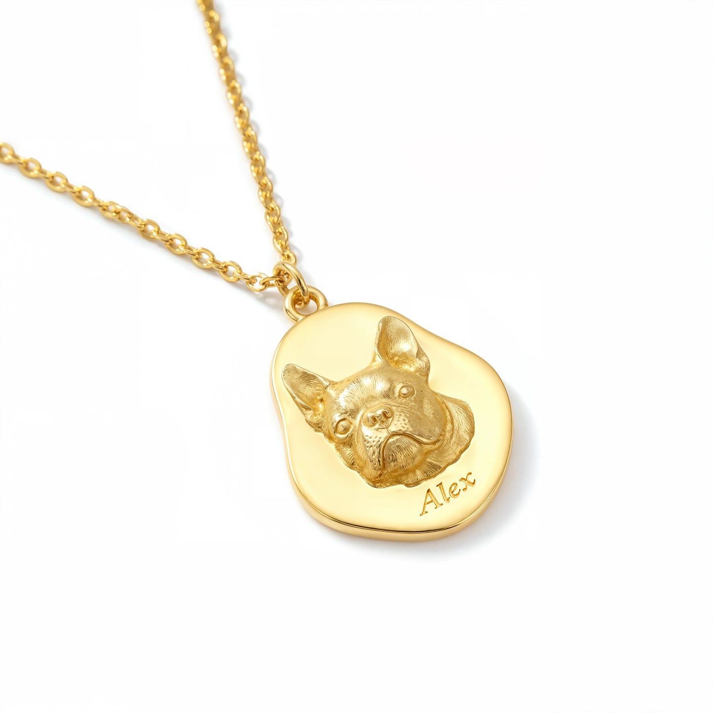 Soulyshine Precious Paw -  Upload Pet Portrait Photo Necklace